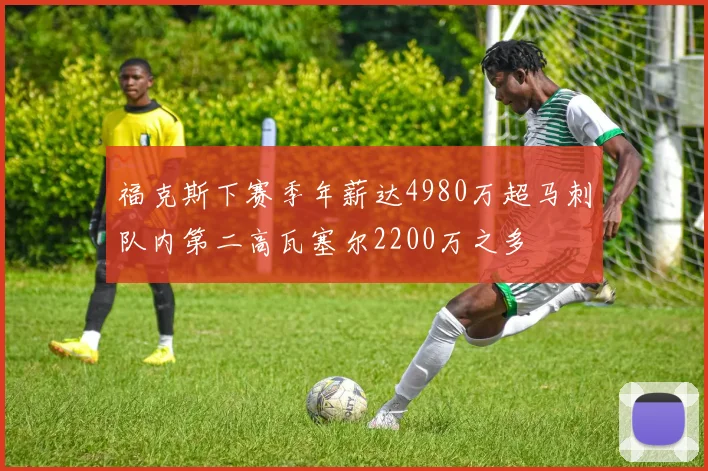 福克斯下赛季年薪达4980万超马刺队内第二高瓦塞尔2200万之多